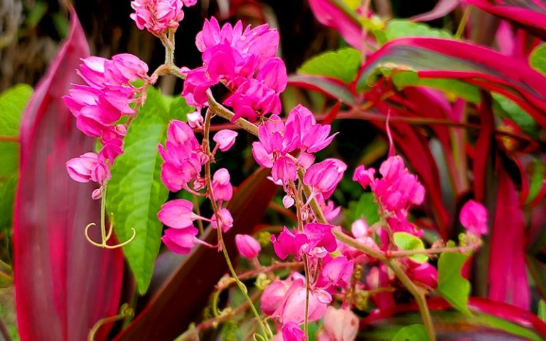 Creativity & Freedom of Expression