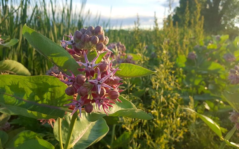 Letting Go of the Past