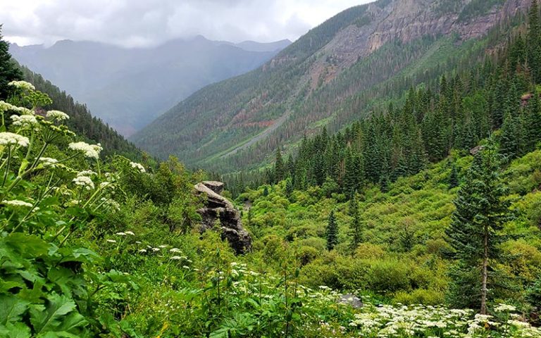 Finding Peace in the Valley