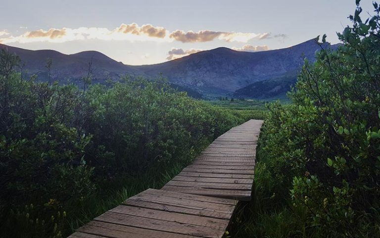 Who are you becoming?