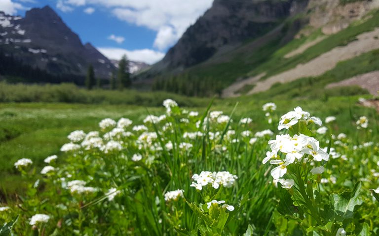 Goodness in the Unknown