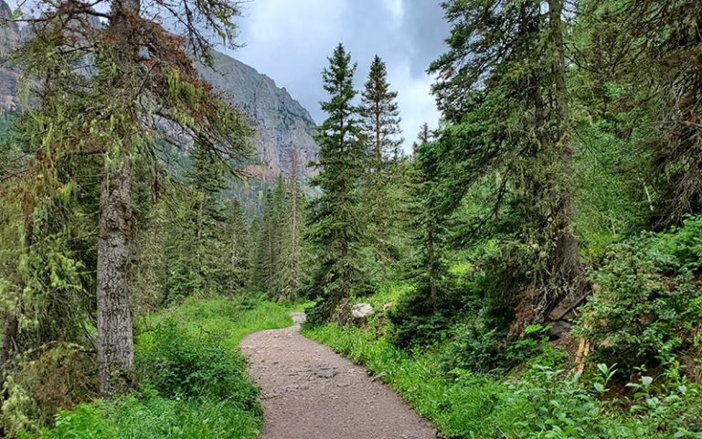 Godly Decision-Making