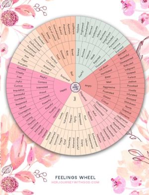 feelings wheel