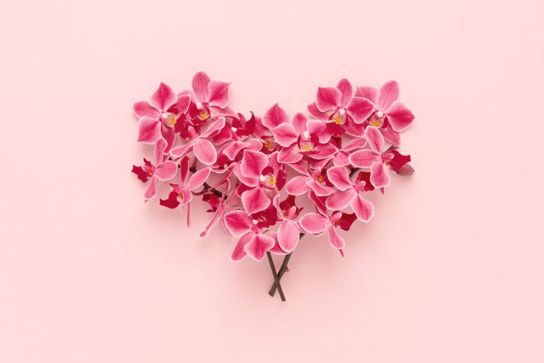 Embrace the Different