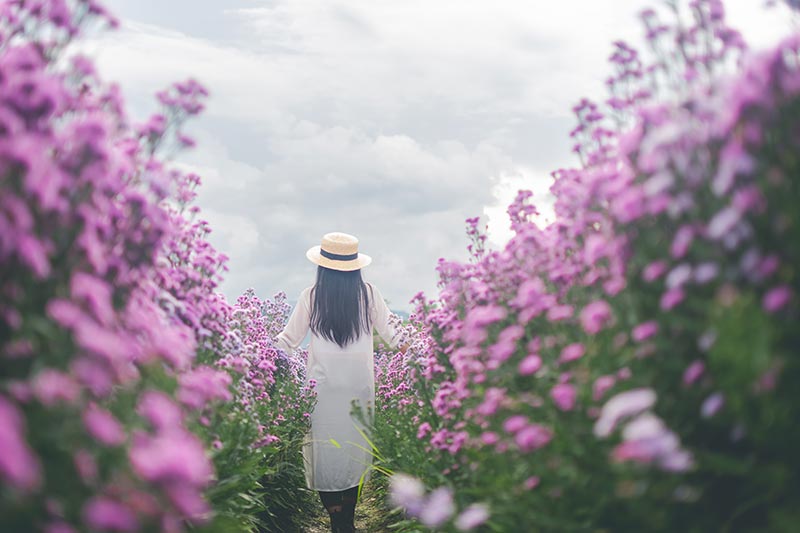 Your story is safe with Him | Sarah McClelland